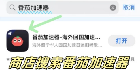 12123在境外不能登录教程