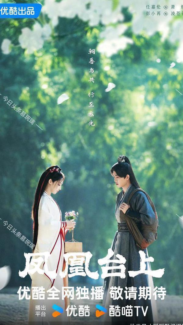 视频地区限制怎么解决教程