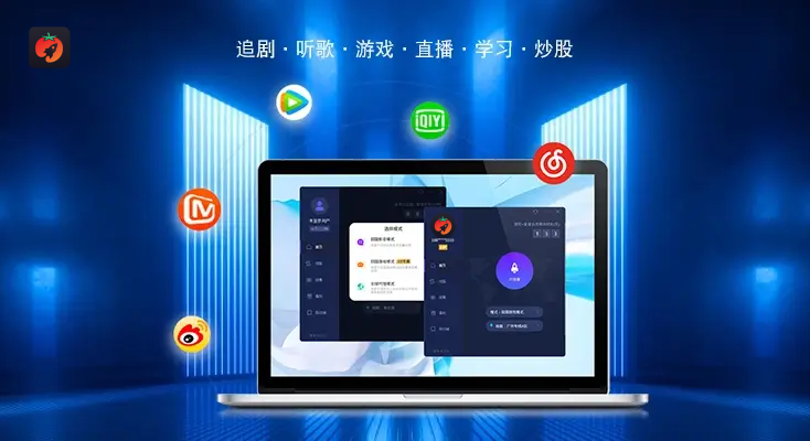 回国vpn 插件教程
